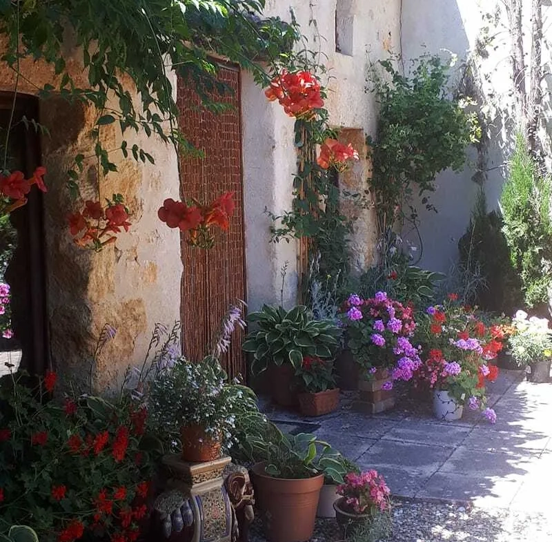 Maison en pierre avec gîte, piscine et grand jardin à Minzac 24610 