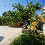 Maison Plain-Pied Type 3 avec Garage et Jardin à Marignane