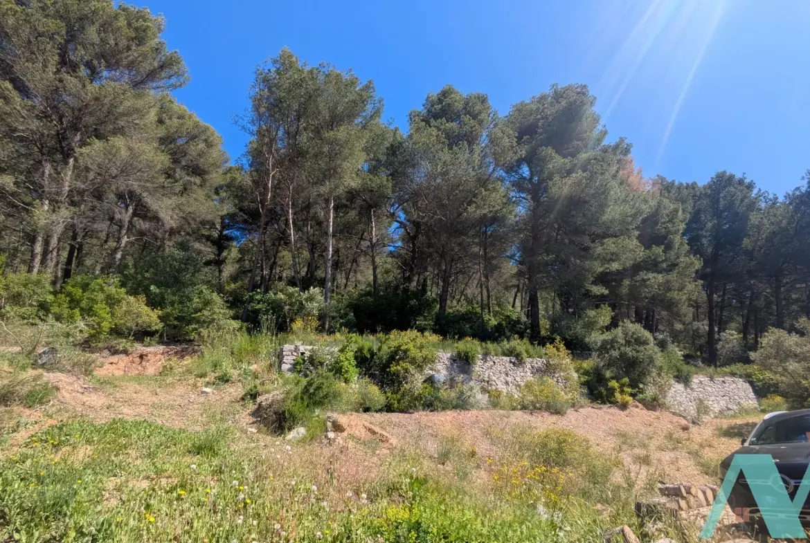 Deux terrains à bâtir avec permis validé à Cuges-les-Pins, vue campagne 