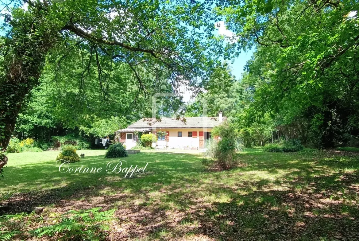 Maison de plain-pied avec grand terrain boisé à Antonne et Trigonant 