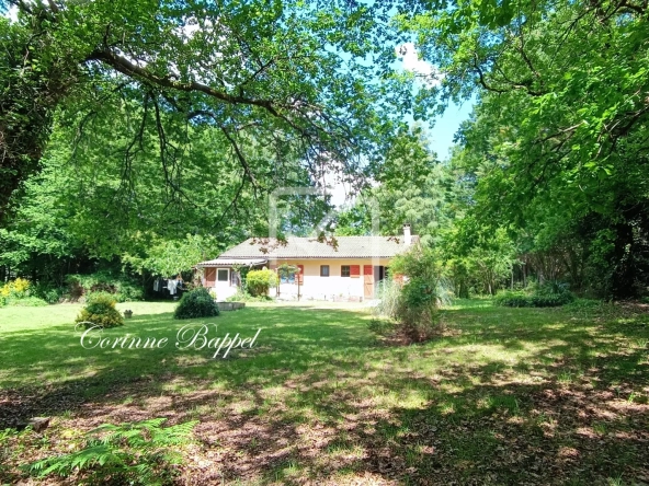 Maison de plain-pied avec grand terrain boisé à Antonne et Trigonant