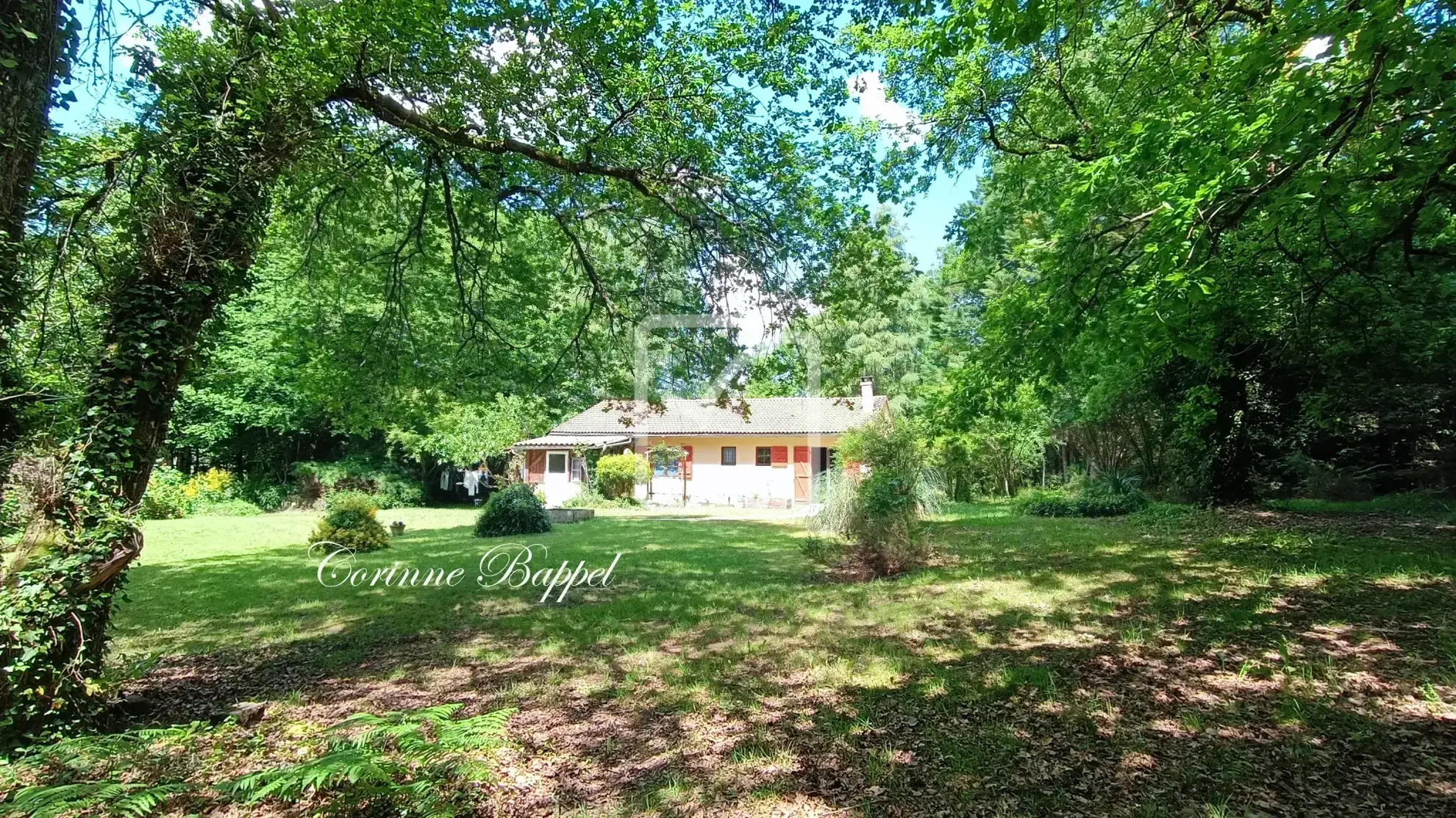 Maison de plain-pied avec grand terrain boisé à Antonne et Trigonant 