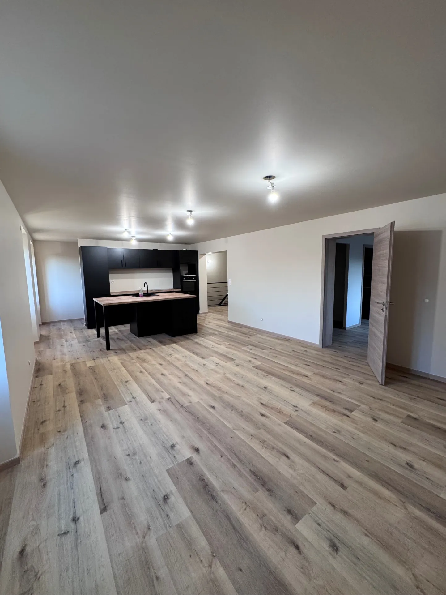Appartement rénové de 78 m² à Châlonvillars, investissement locatif sécurisé 