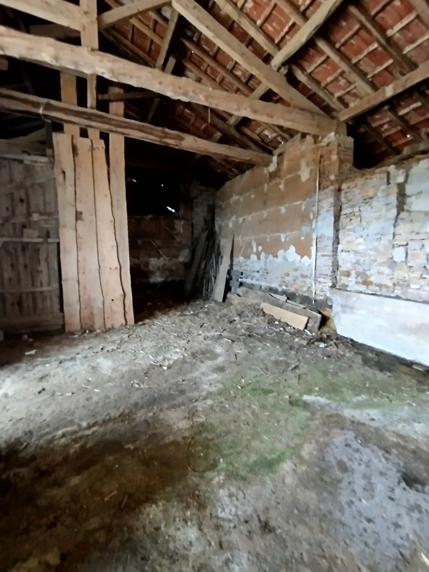 Fermette mitoyenne à rénover avec grandes dépendances dans la campagne, 1500 m² de terrain à St Amour 