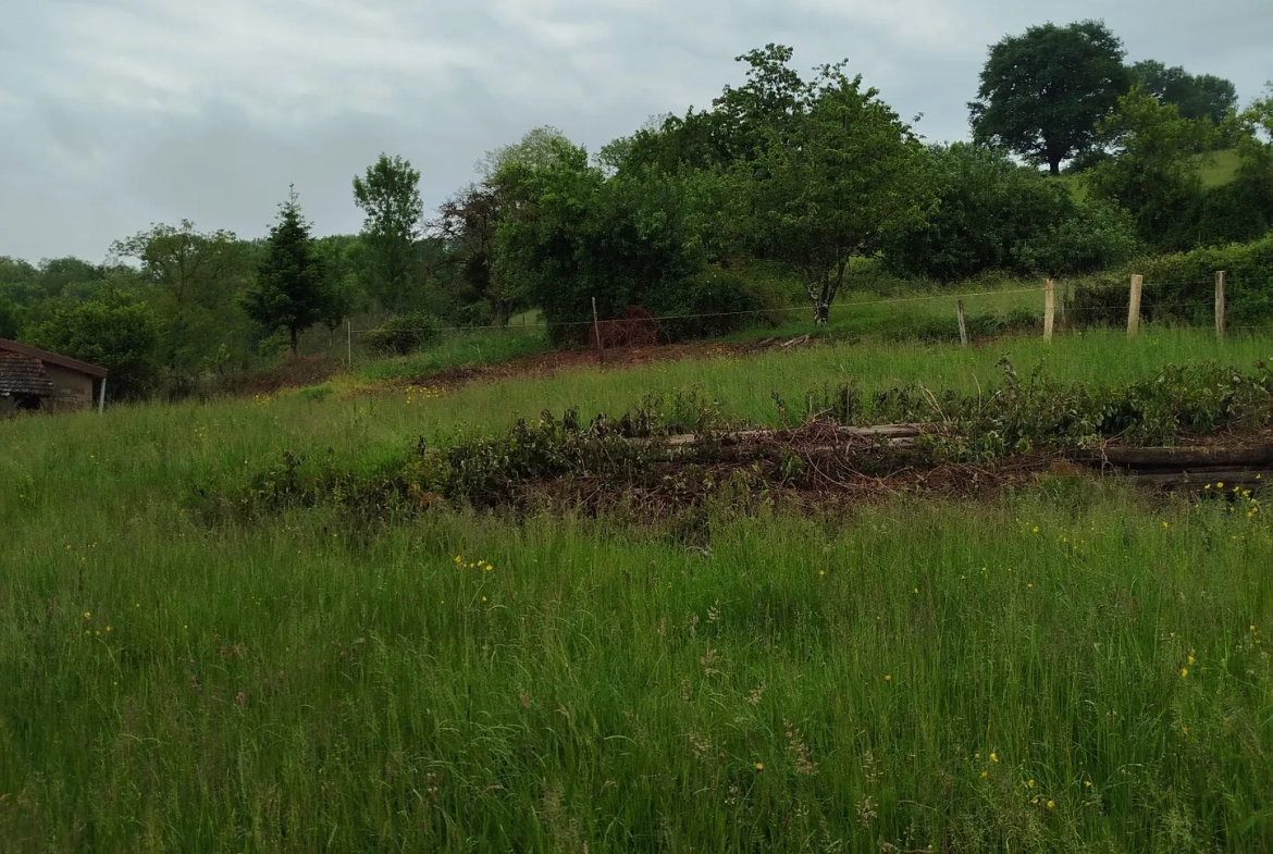 Fermette mitoyenne à rénover avec grandes dépendances dans la campagne, 1500 m² de terrain à St Amour 