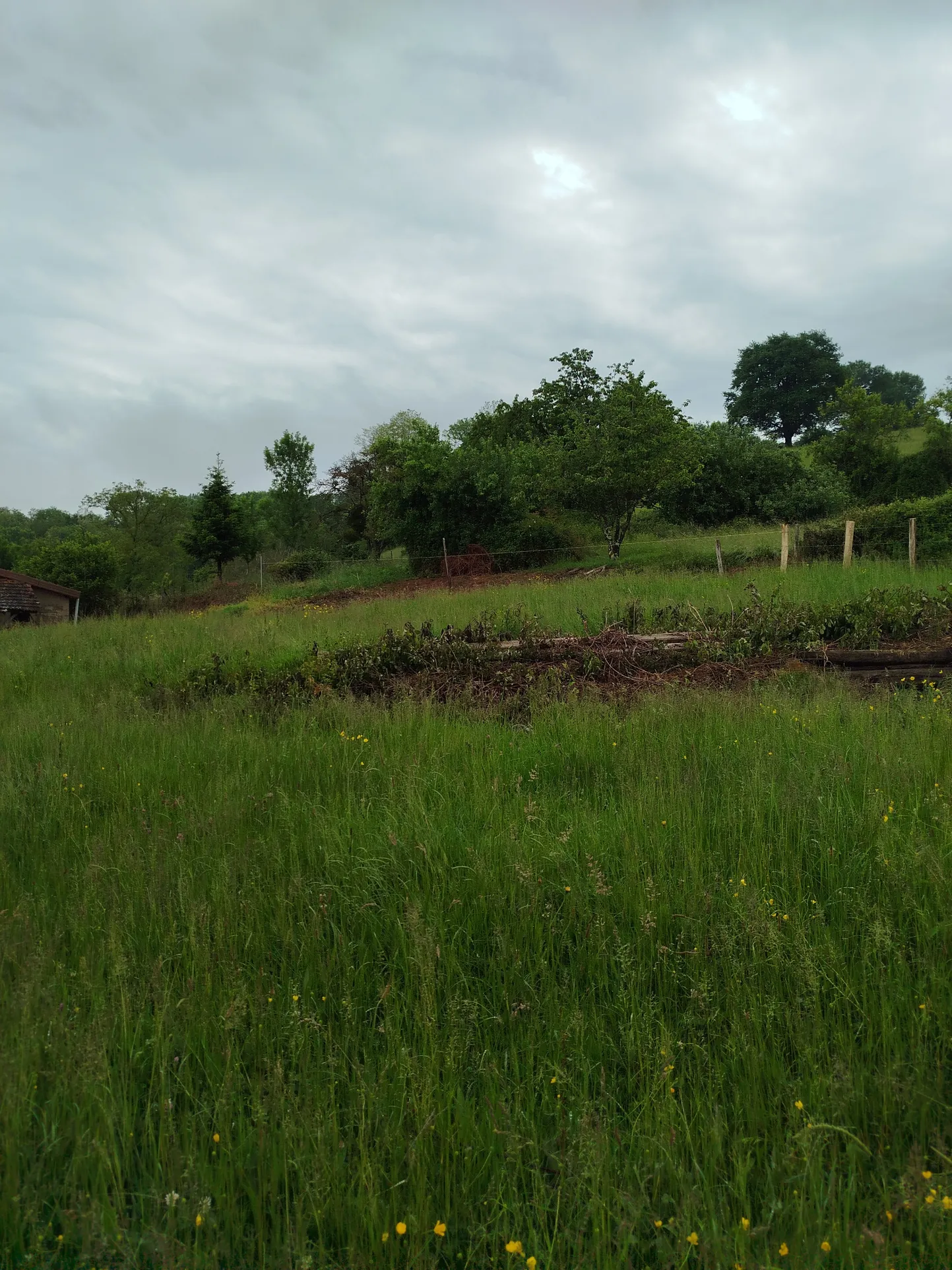 Fermette mitoyenne à rénover avec grandes dépendances dans la campagne, 1500 m² de terrain à St Amour 