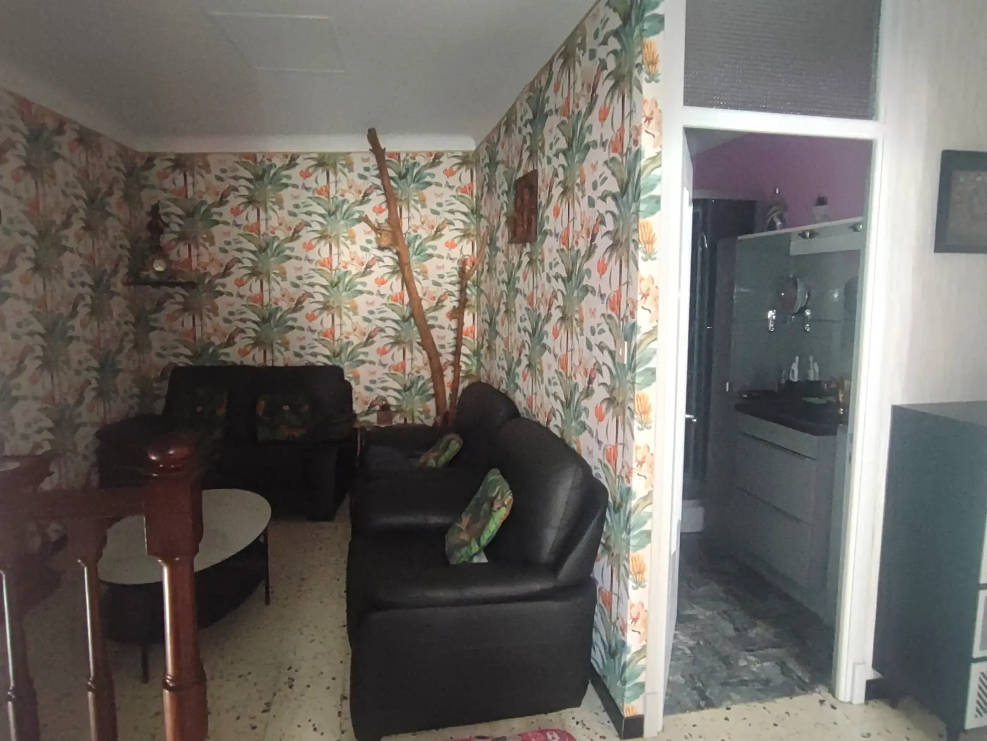 Belle maison familiale à Ferrals les Corbières avec garage et 5 chambres 