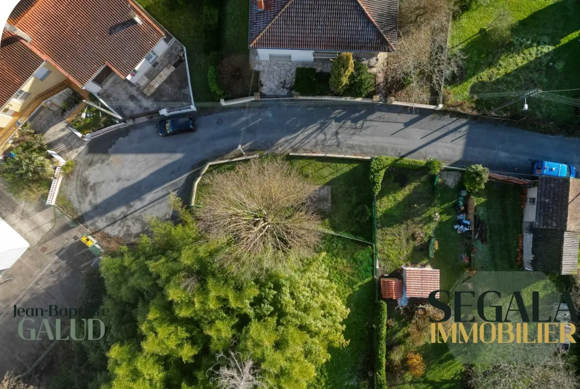 Maison bourgeoise avec local commercial et jardin à Blaye-les-Mines 