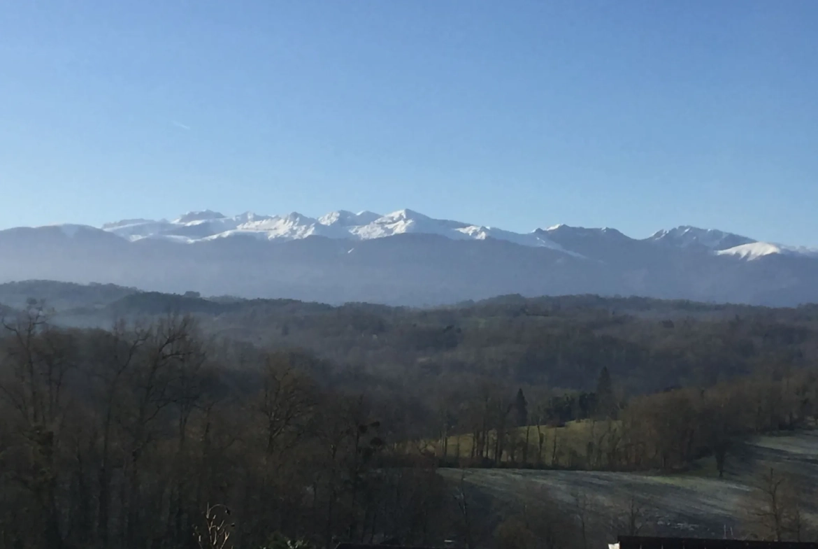 Terrain constructible de 2 969 m² avec vue panoramique sur les Pyrénées à Lasseube 