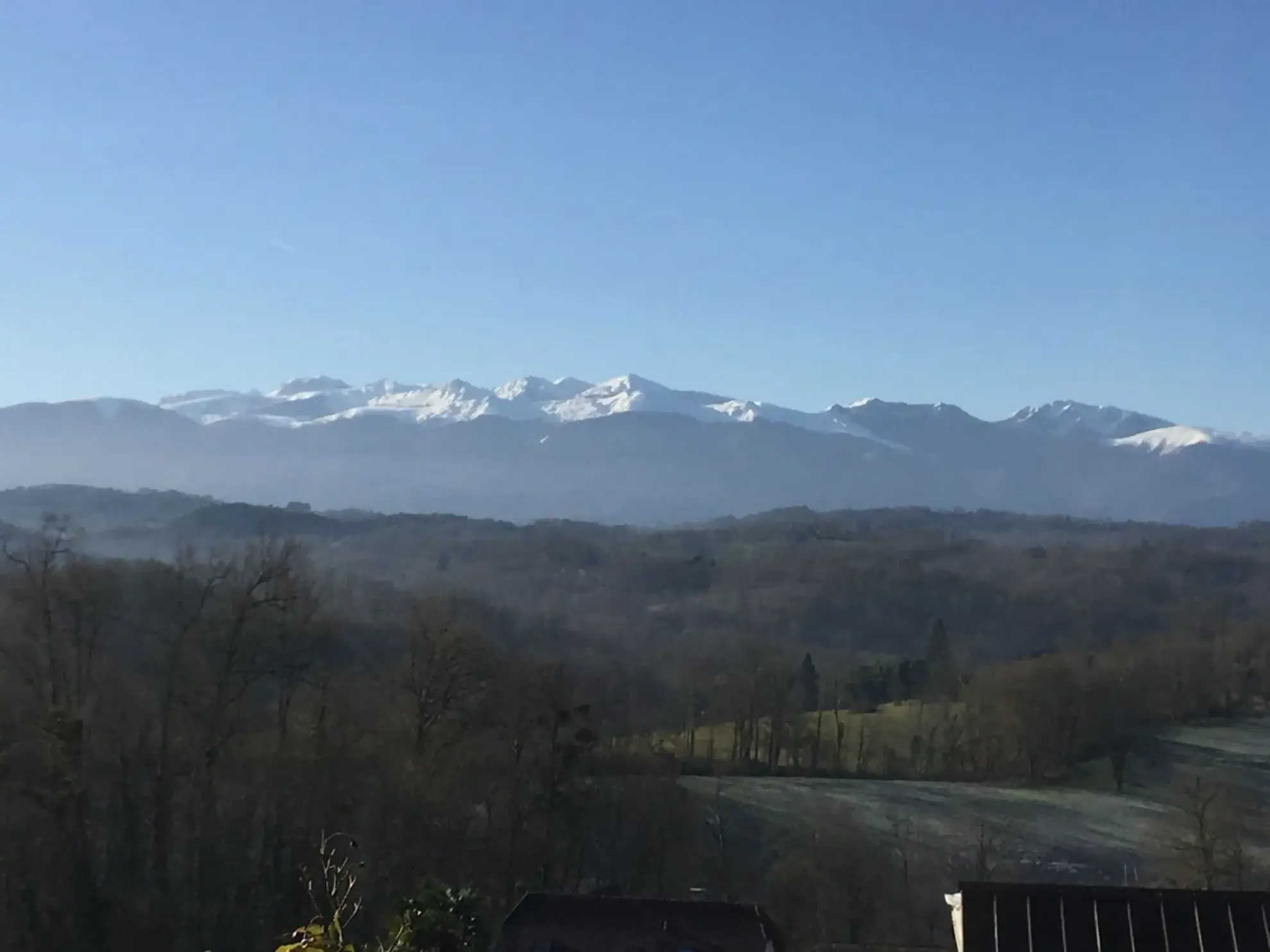 Terrain constructible de 2 969 m² avec vue panoramique sur les Pyrénées à Lasseube 