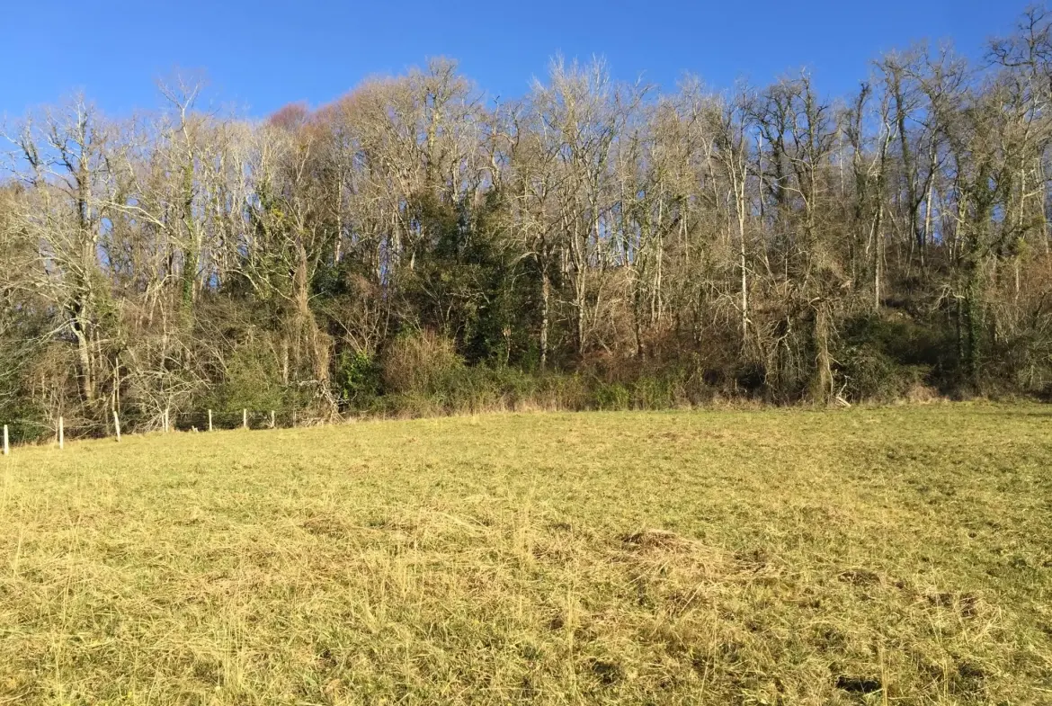 Terrain constructible de 2 969 m² avec vue panoramique sur les Pyrénées à Lasseube 