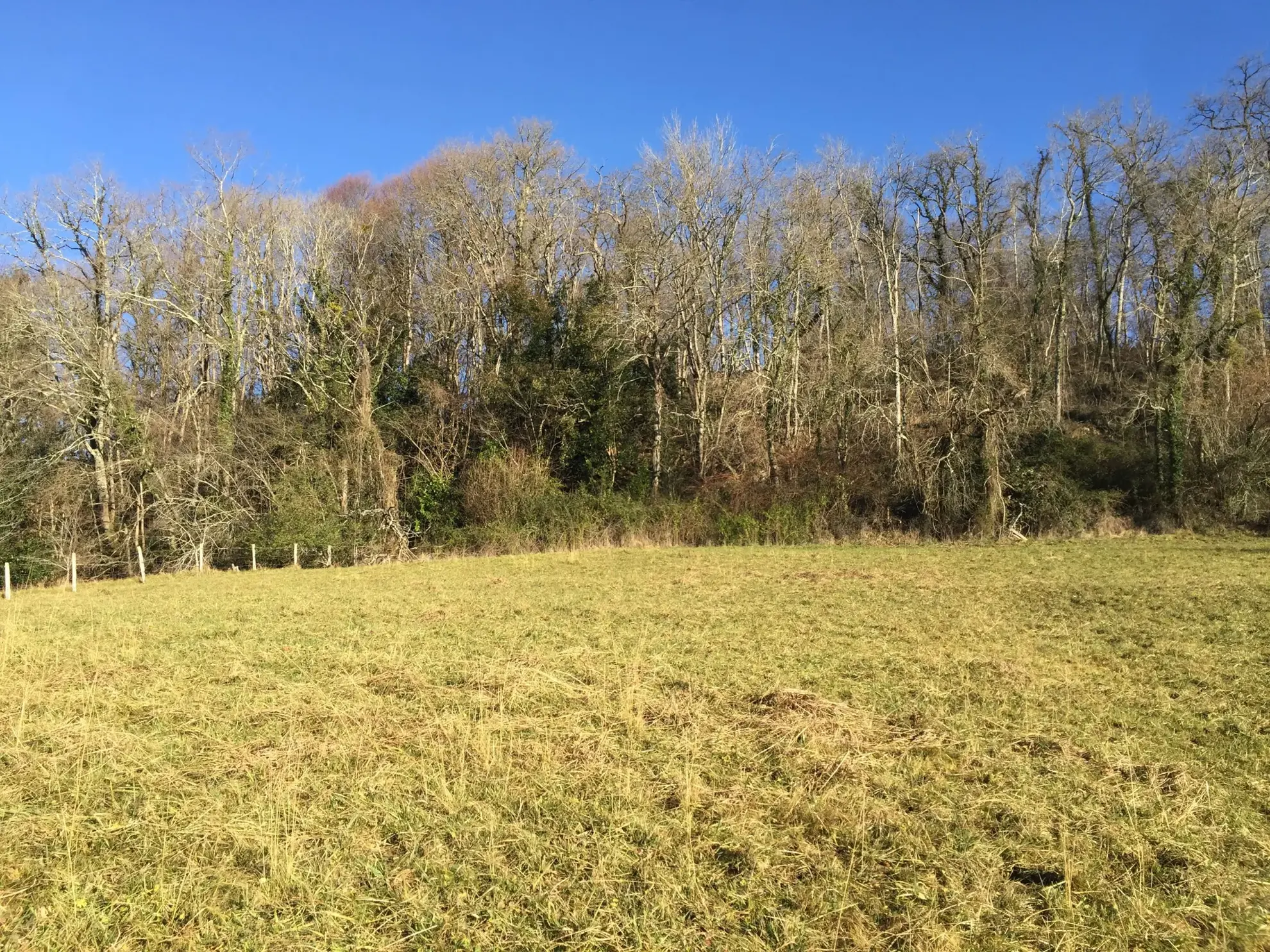 Terrain constructible de 2 969 m² avec vue panoramique sur les Pyrénées à Lasseube 