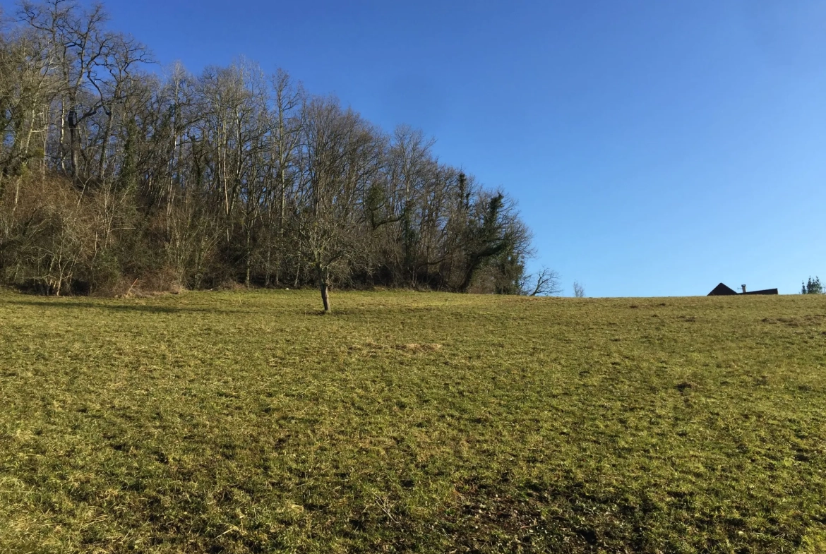 Terrain constructible de 2 969 m² avec vue panoramique sur les Pyrénées à Lasseube 