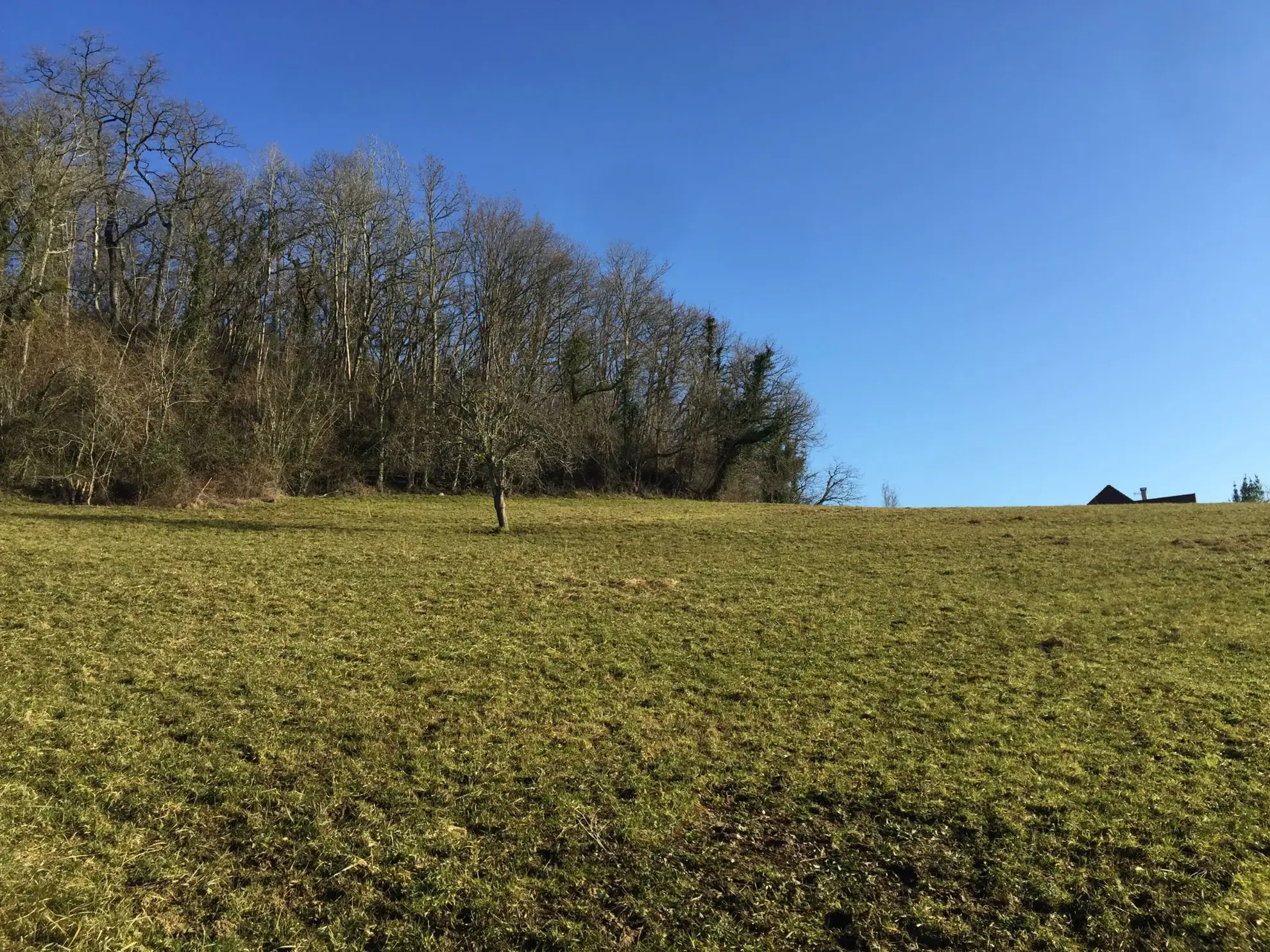 Terrain constructible de 2 969 m² avec vue panoramique sur les Pyrénées à Lasseube 