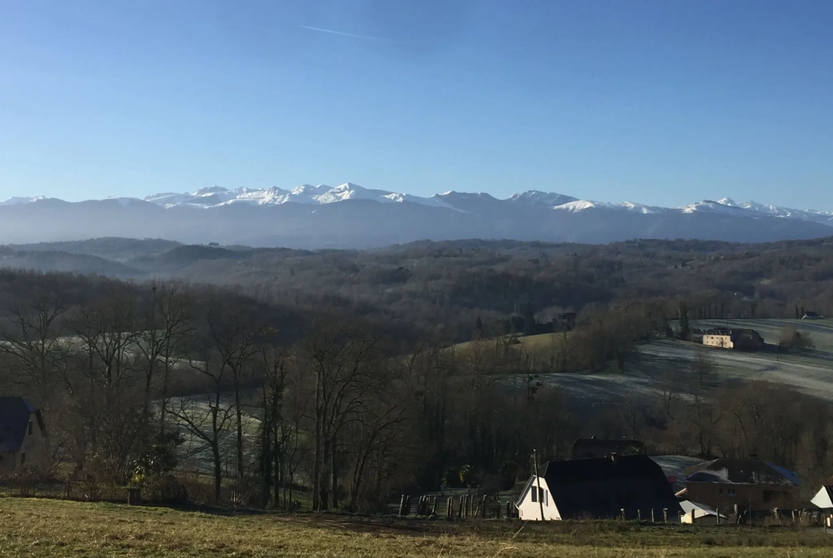 Terrain constructible de 2 969 m² avec vue panoramique sur les Pyrénées à Lasseube 