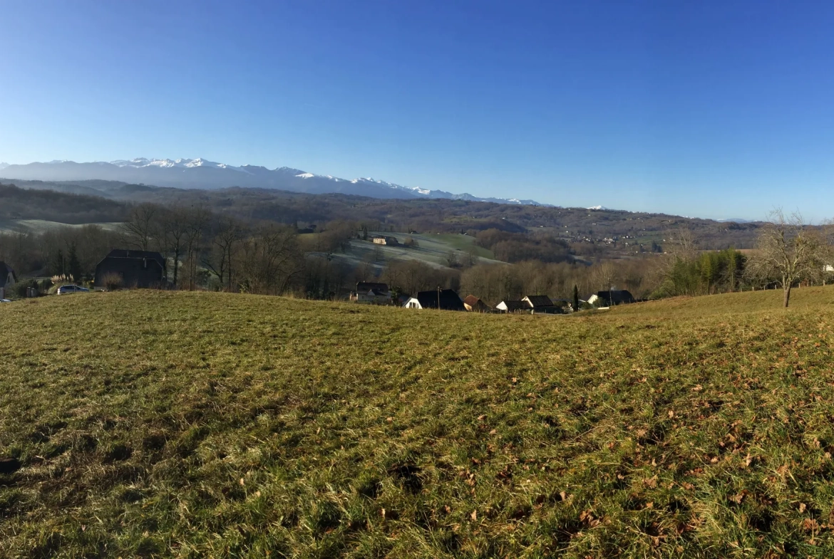 Terrain constructible de 2 969 m² avec vue panoramique sur les Pyrénées à Lasseube 