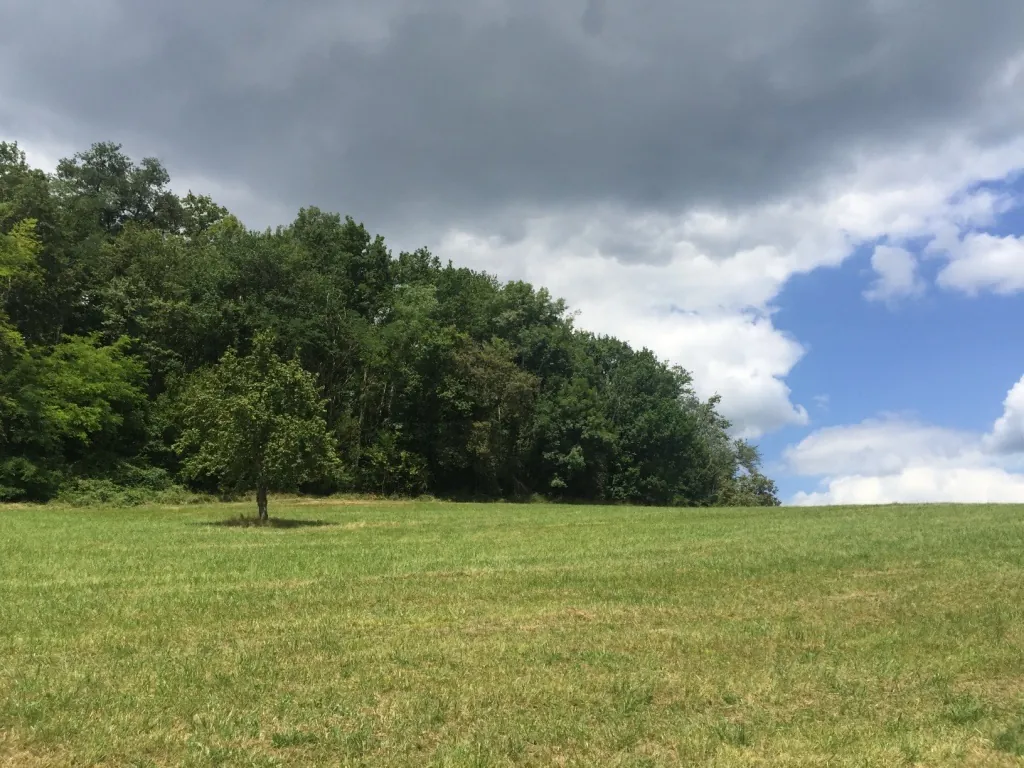 Terrain constructible de 2 969 m² avec vue panoramique sur les Pyrénées à Lasseube 