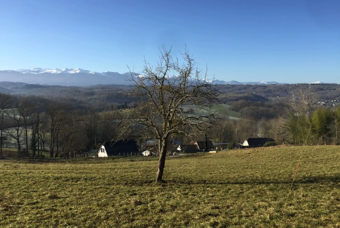 Terrain constructible de 2 969 m² avec vue panoramique sur les Pyrénées à Lasseube 