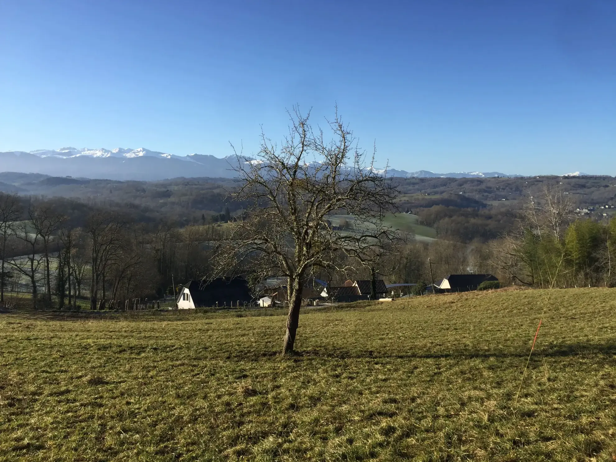 Terrain constructible de 2 969 m² avec vue panoramique sur les Pyrénées à Lasseube 