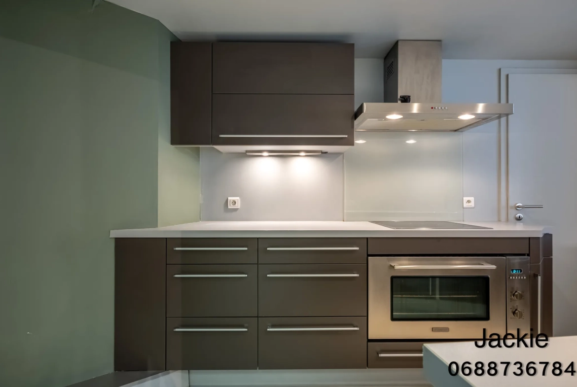Loft de 160 m² en centre-ville à Mulhouse avec terrasse et vues panoramiques 