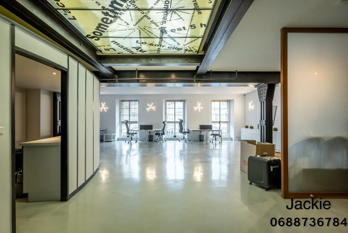 Loft de 160 m² en centre-ville à Mulhouse avec terrasse et vues panoramiques 