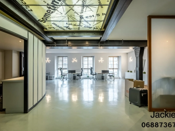 Magnifique loft de 160 m² à Mulhouse, vue panoramique et terrasse rooftop