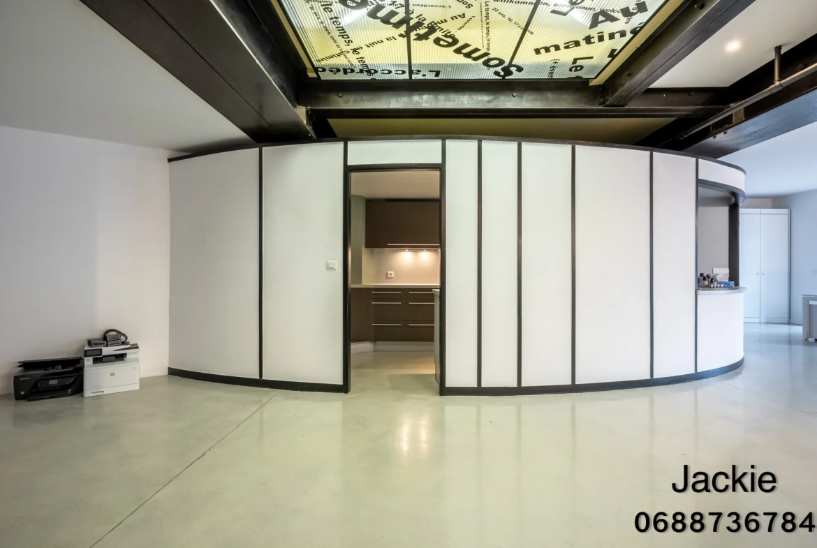 Loft de 160 m² en centre-ville à Mulhouse avec terrasse et vues panoramiques 