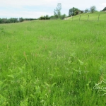 Terrain constructible à vendre à Proissans près de Sarlat-la-Canéda en Dordogne