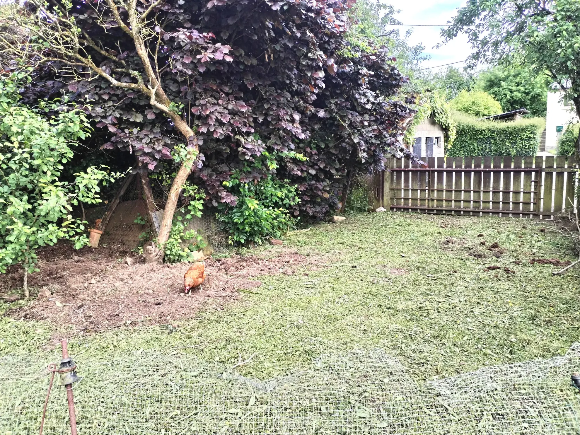 Maison à rénover de 48 m² avec grand terrain à Romagné 