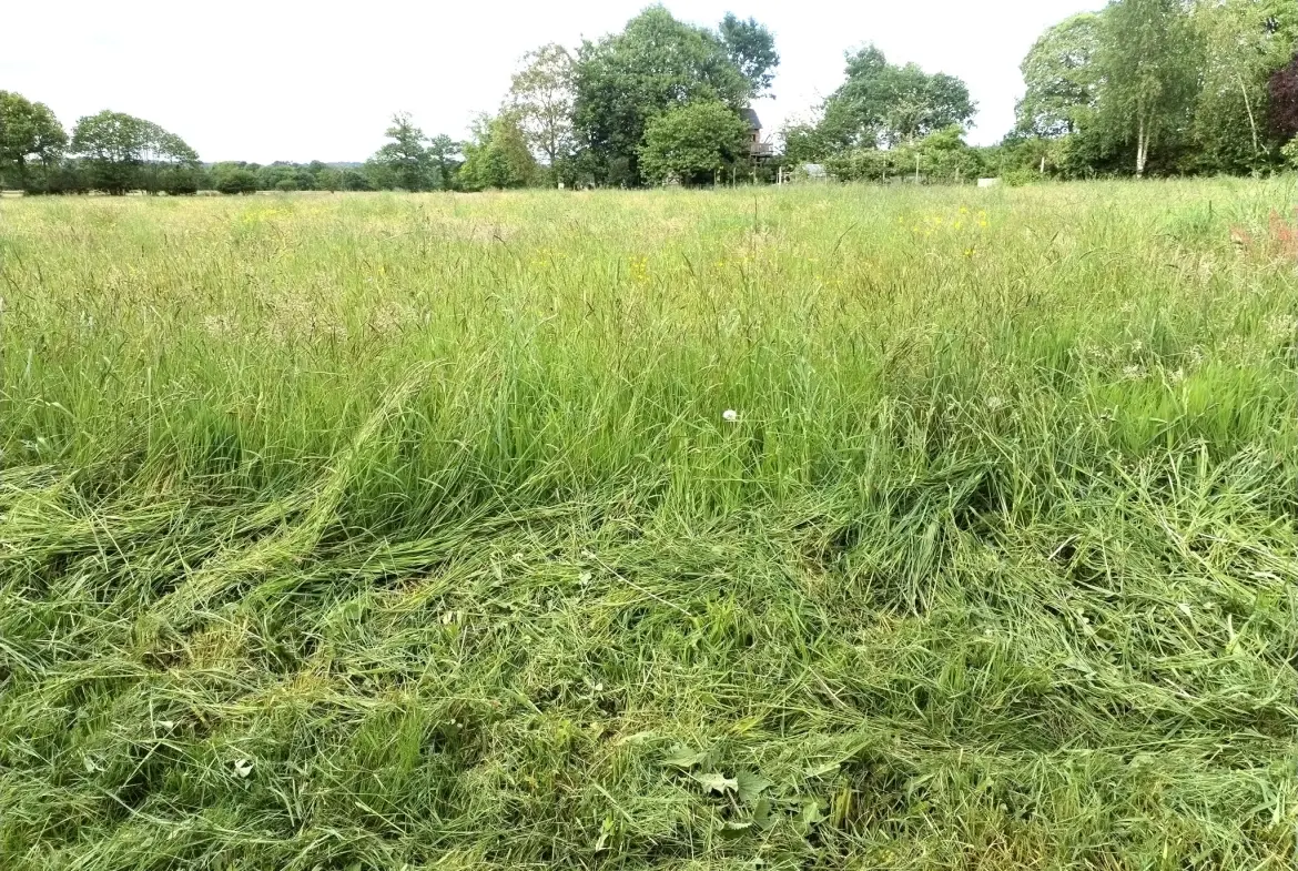 Maison à rénover de 48 m² avec grand terrain à Romagné 