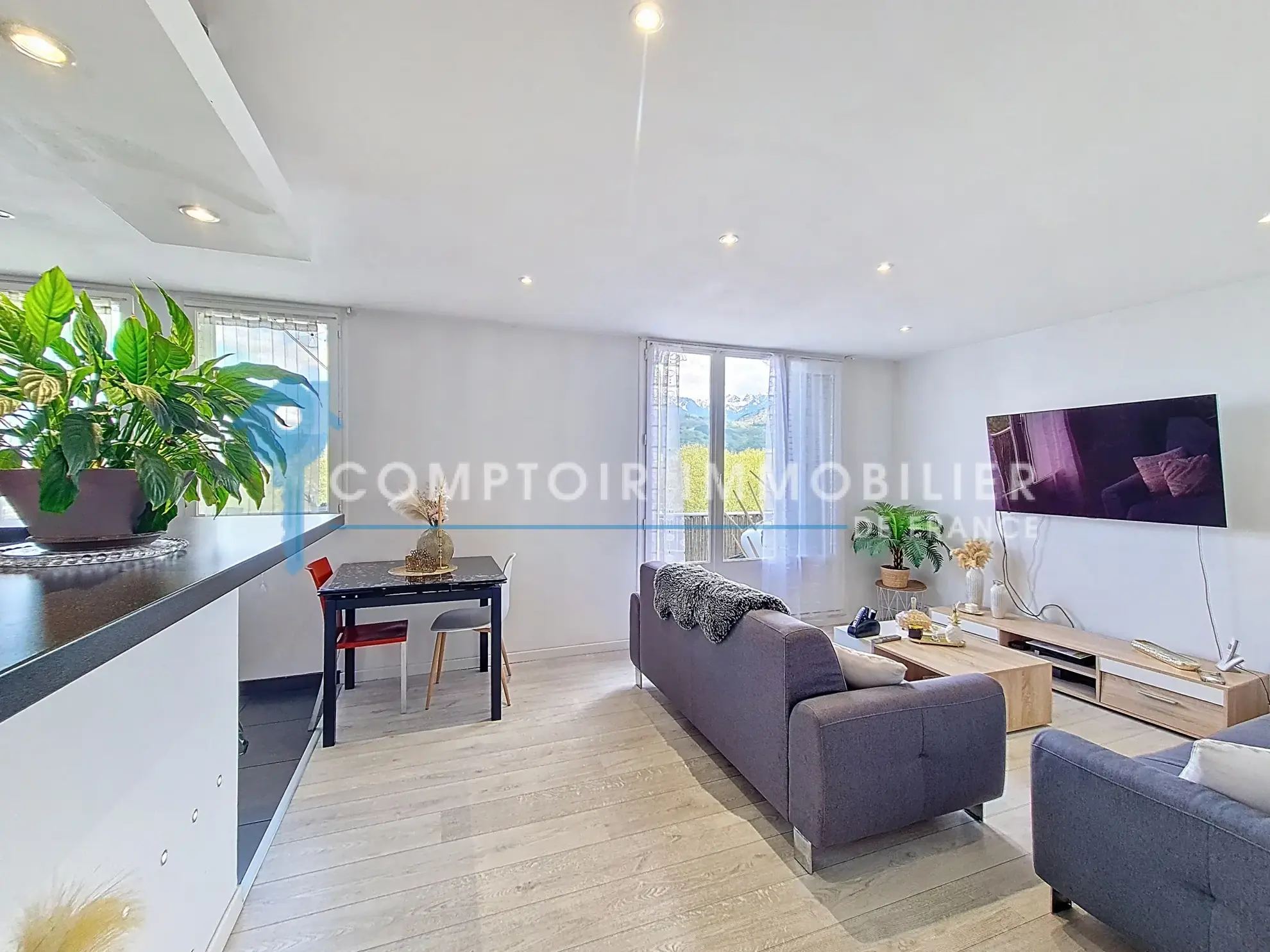 Appartement T3 à vendre à Grenoble avec vue panoramique et balcon 