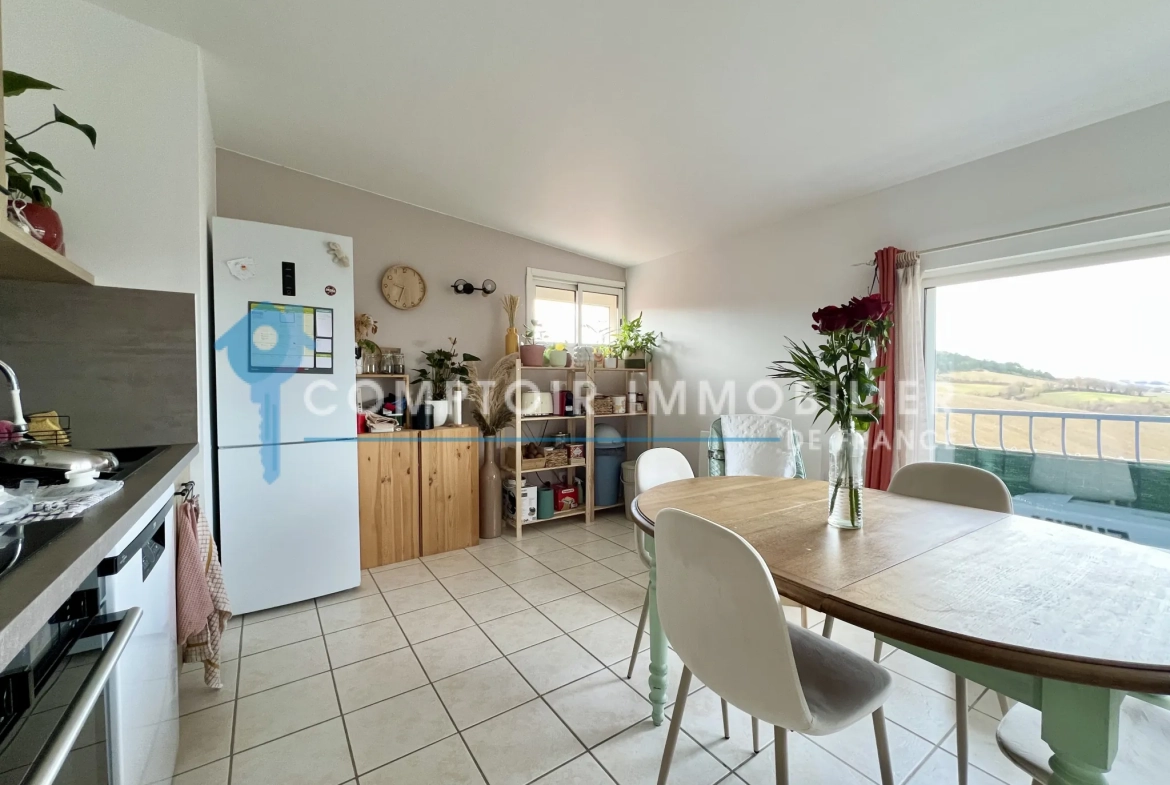 Maison à vendre à Saint Paul Cap de Joux avec studio et grand terrain 