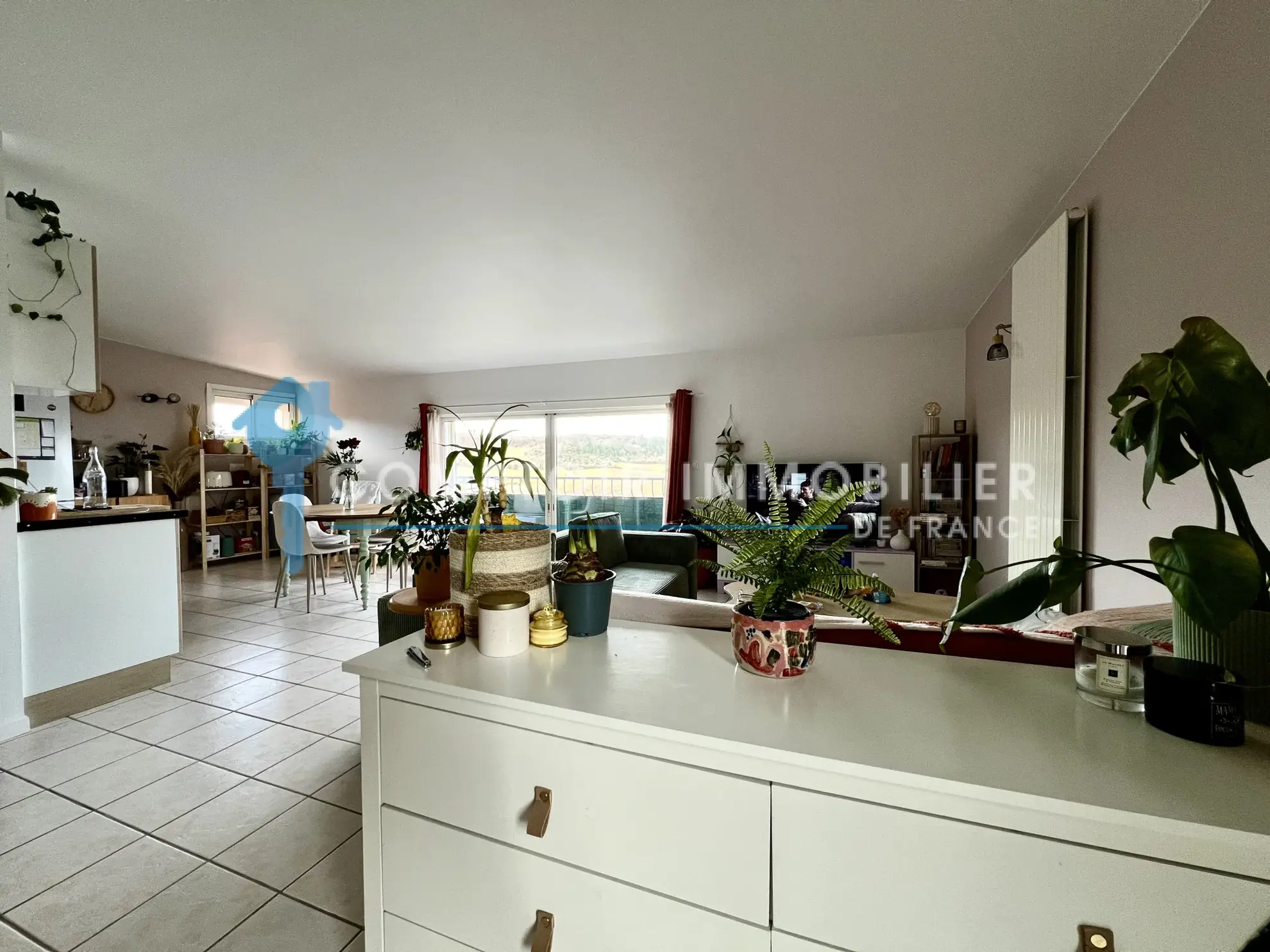 Maison à vendre à Saint Paul Cap de Joux avec studio et grand terrain 