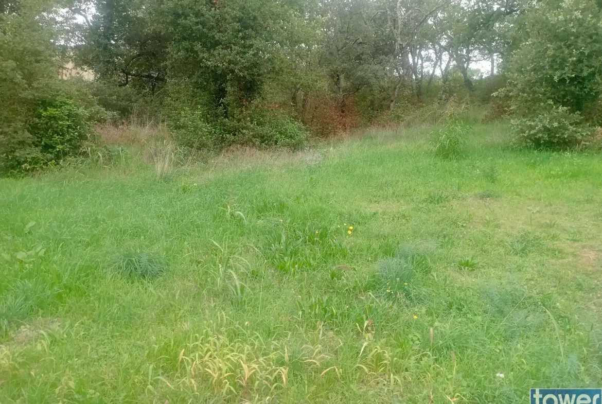 Terrain constructible à Sabrán – 1 429 m² viabilisé, idéal pour votre projet immobilier 