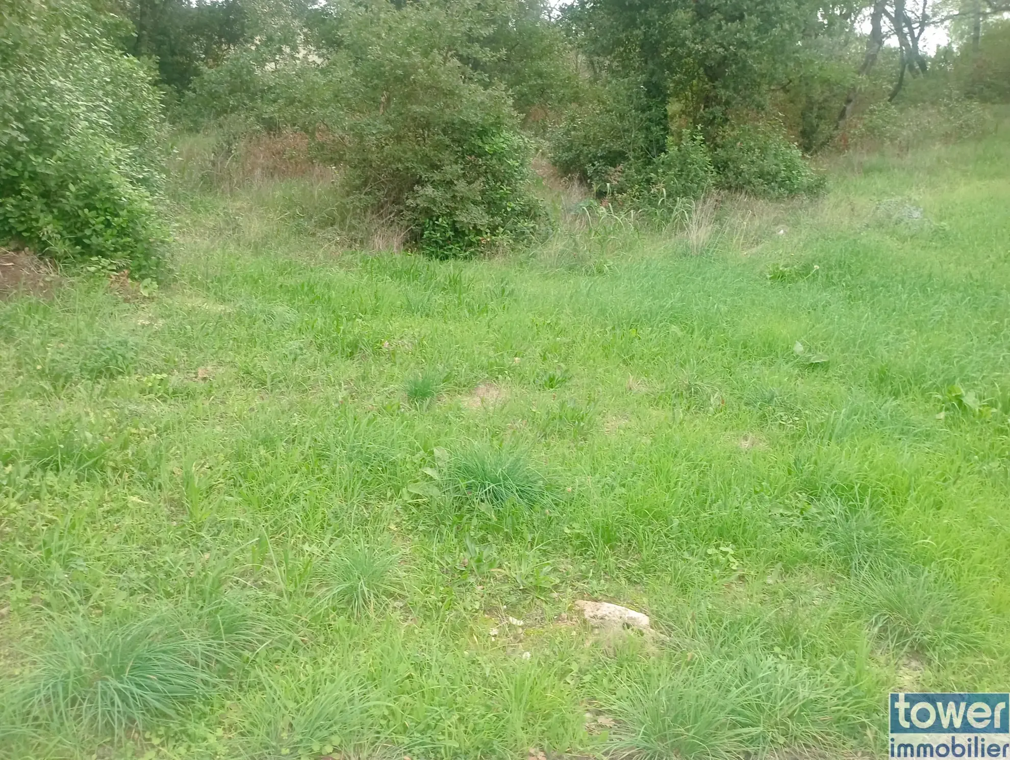 Terrain constructible à Sabrán – 1 429 m² viabilisé, idéal pour votre projet immobilier 