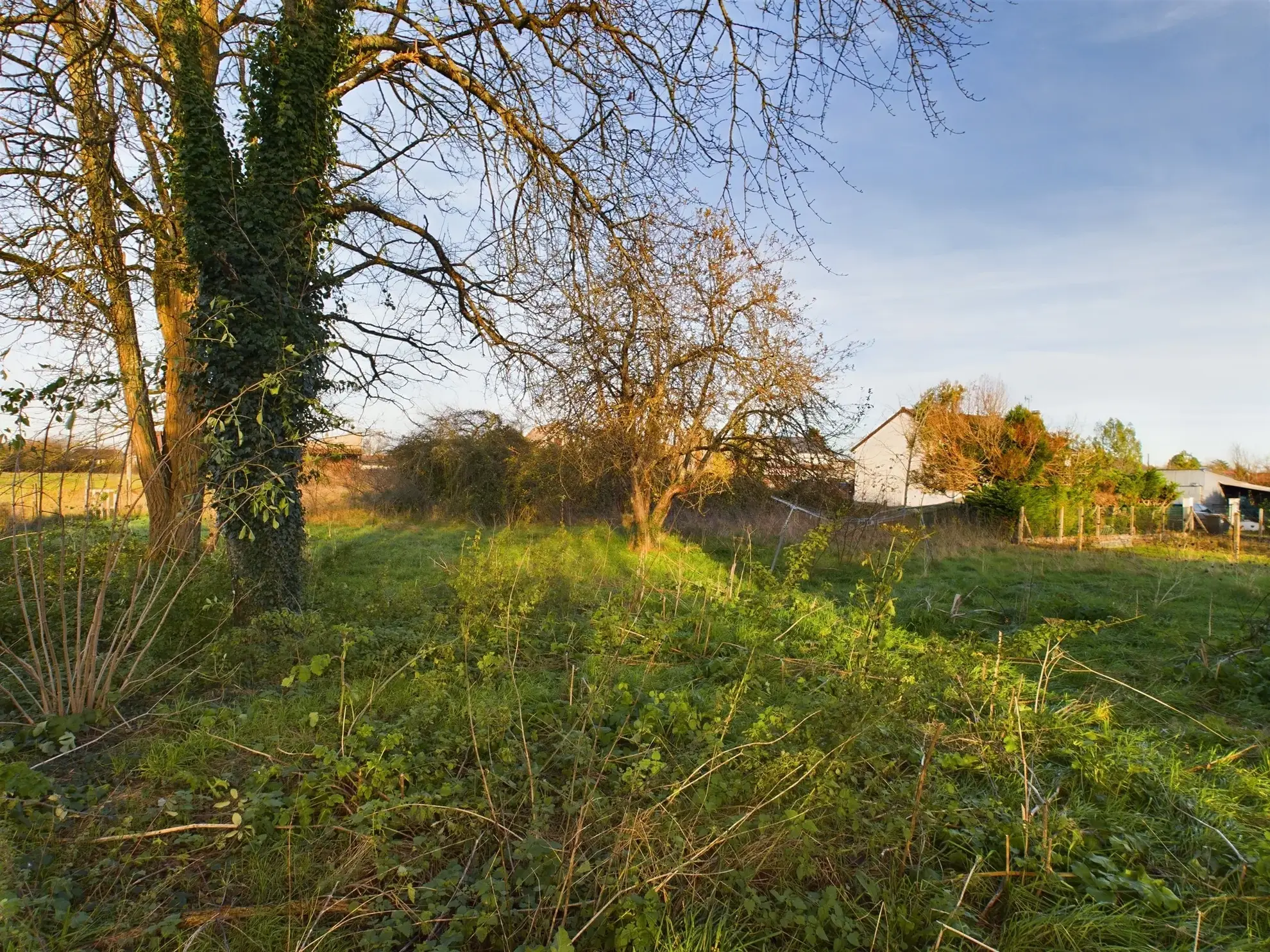 Pavillon à vendre à Nevers avec grand terrain et potentiel de rénovation 