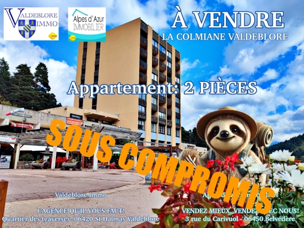 Charmant appartement 2 pièces avec vue sur la forêt à La Colmiane