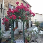 Maison de village charmante avec jardin et garage à La Peruse en Charente