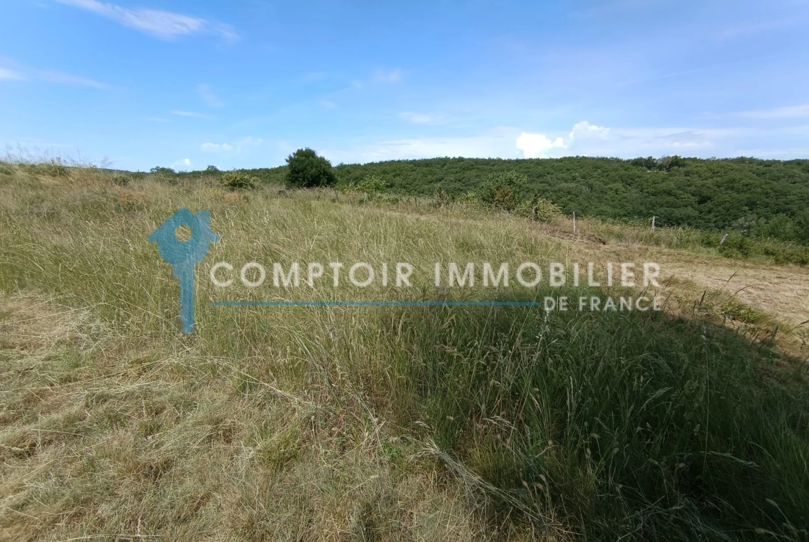 Terrain constructible avec permis validé à Lavilledieu, Ardèche - 6 lots, 6385 m² 