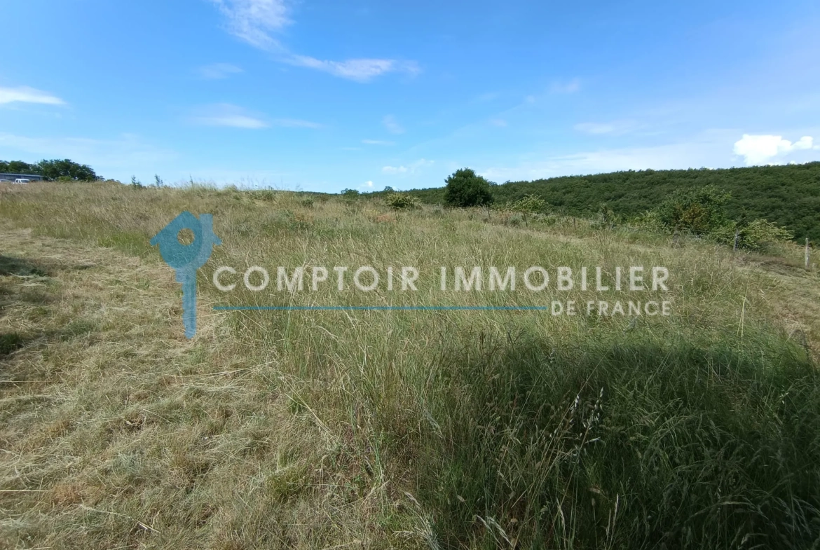Terrain constructible avec permis validé à Lavilledieu, Ardèche - 6 lots, 6385 m² 