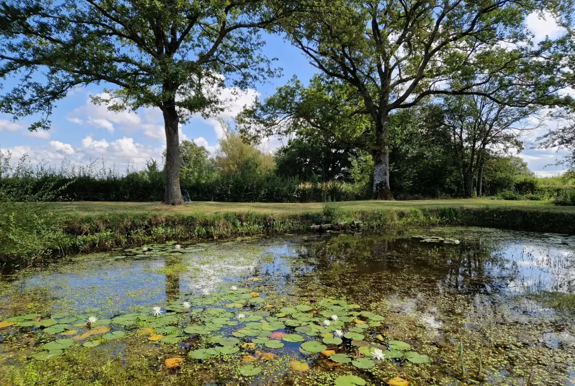 Propriété familiale avec potentiel locatif et chalet sur terrain de 5760 m² à Ainay-le-Château 