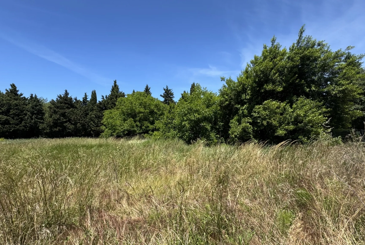 Terrains à bâtir à Courthézon - 6 lots disponibles, idéale construction résidentielle 