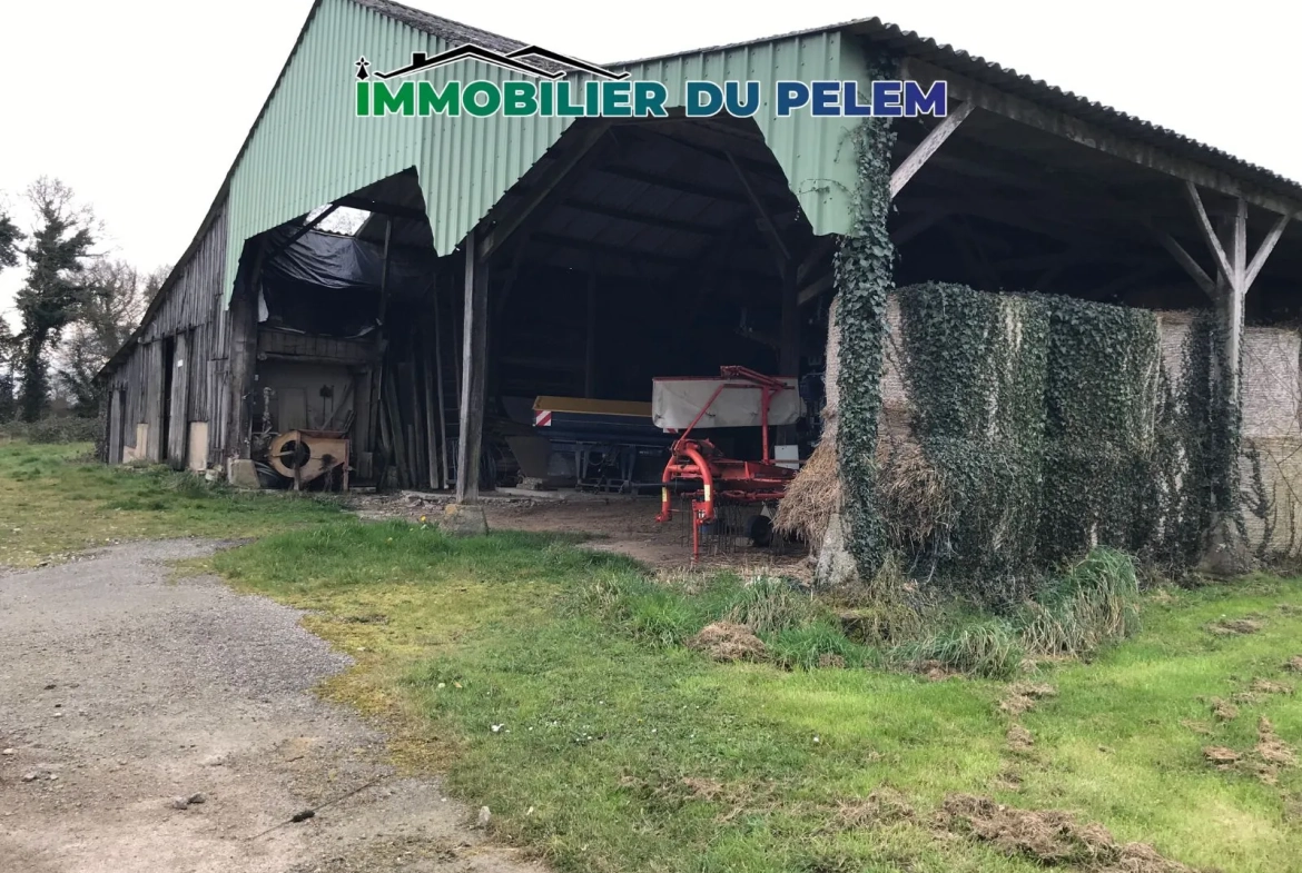 Maison familiale 4 chambres avec hangar et grand terrain en campagne 