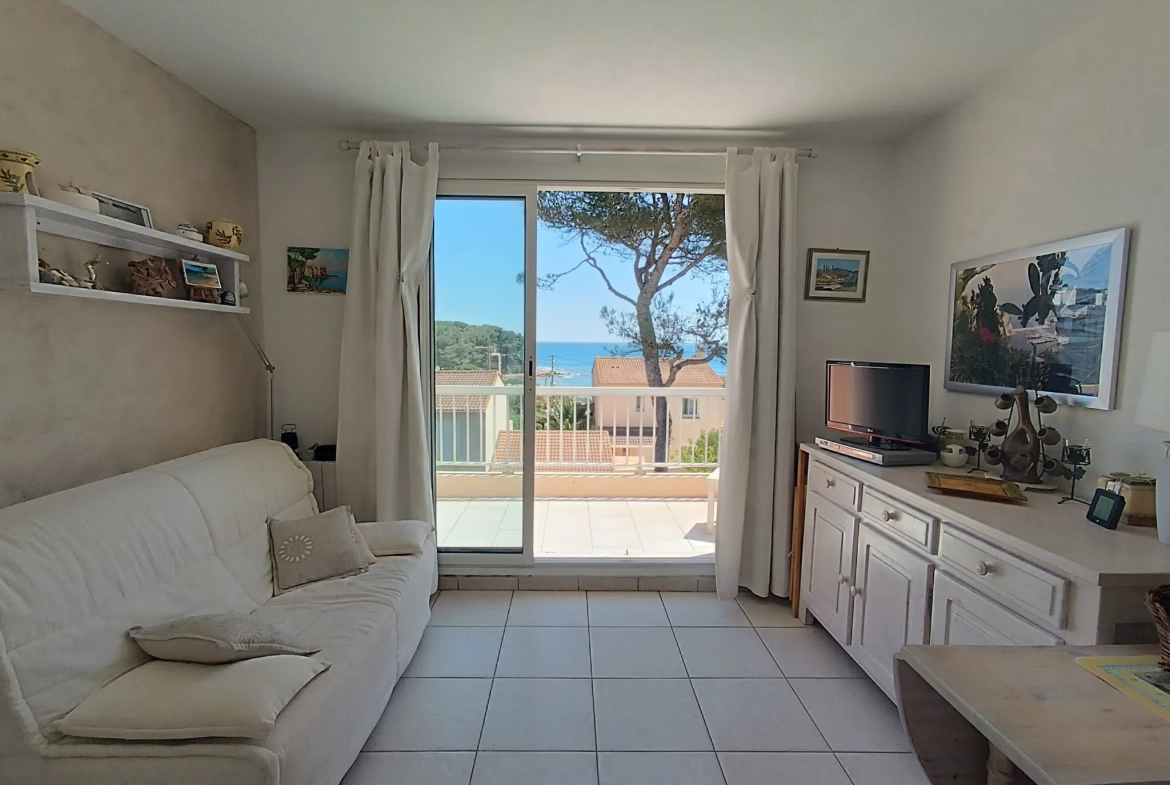 Appartement 1 pièce avec vue mer et terrasse à Carry le Rouet 