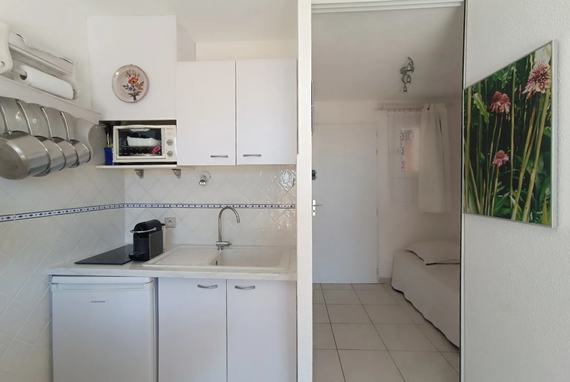 Appartement 1 pièce avec vue mer et terrasse à Carry le Rouet 