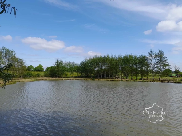 Propriété de 2 hectares avec étang, chalet et ruisseau à Glageon - Idéal pour chasse et pêche 