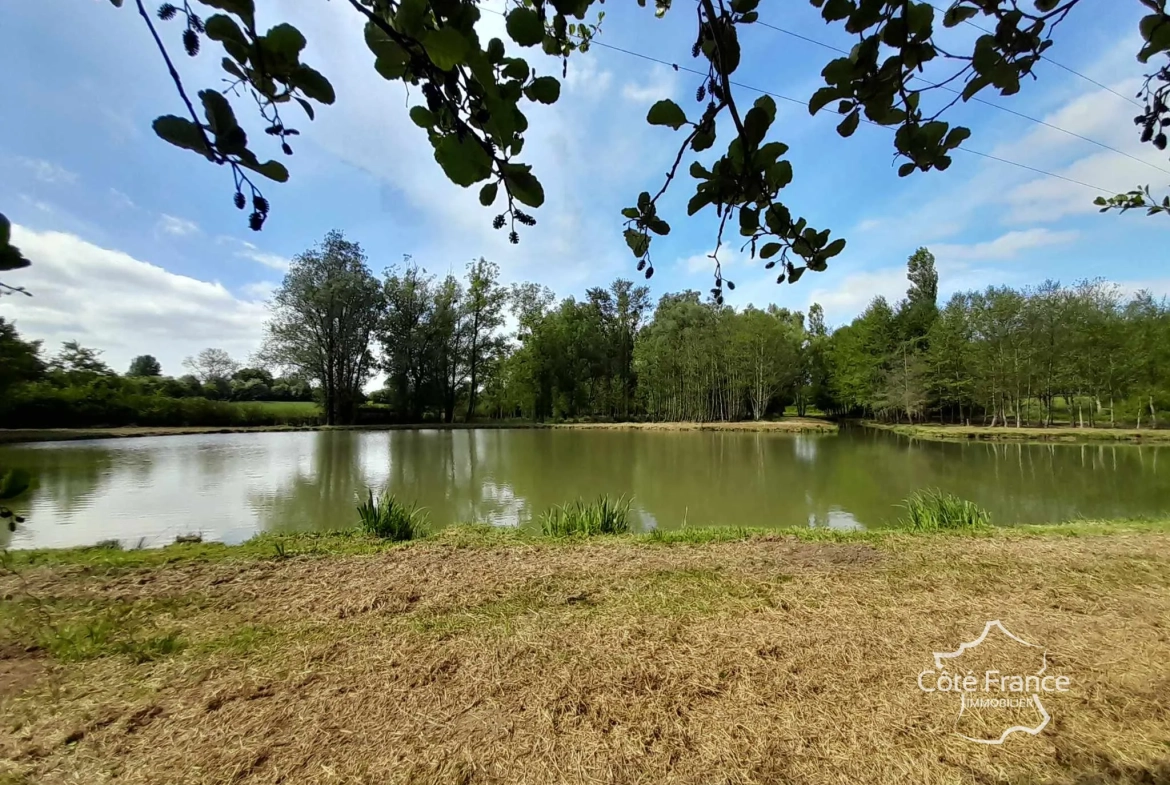 Propriété de 2 hectares avec étang, chalet et ruisseau à Glageon - Idéal pour chasse et pêche 