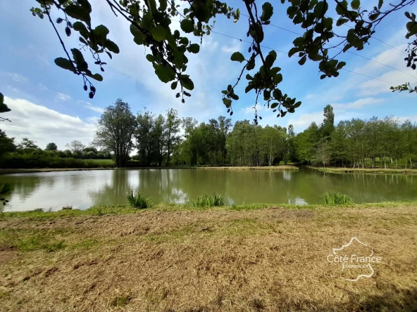 Propriété de 2 hectares avec étang, chalet et ruisseau à Glageon - Idéal pour chasse et pêche 