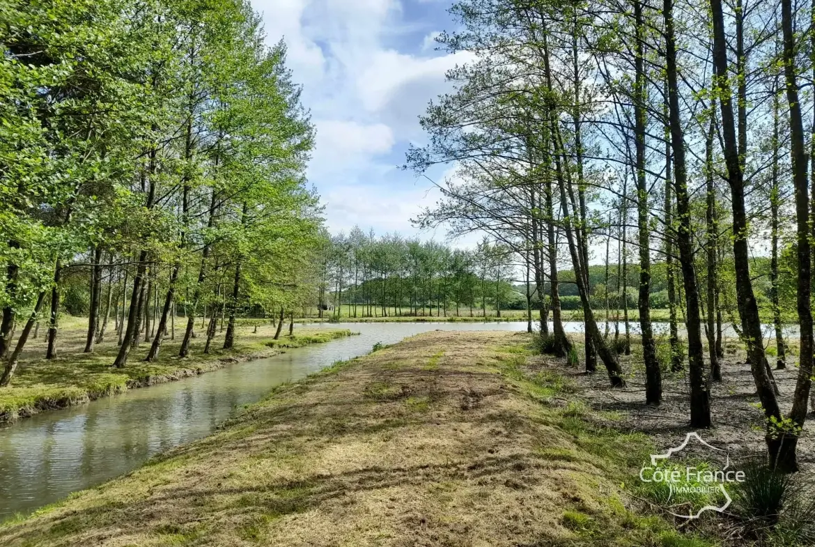 Propriété de 2 hectares avec étang, chalet et ruisseau à Glageon - Idéal pour chasse et pêche 