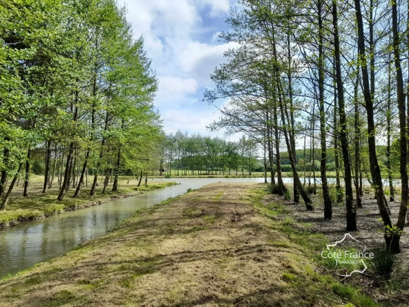 Propriété de 2 hectares avec étang, chalet et ruisseau à Glageon - Idéal pour chasse et pêche 